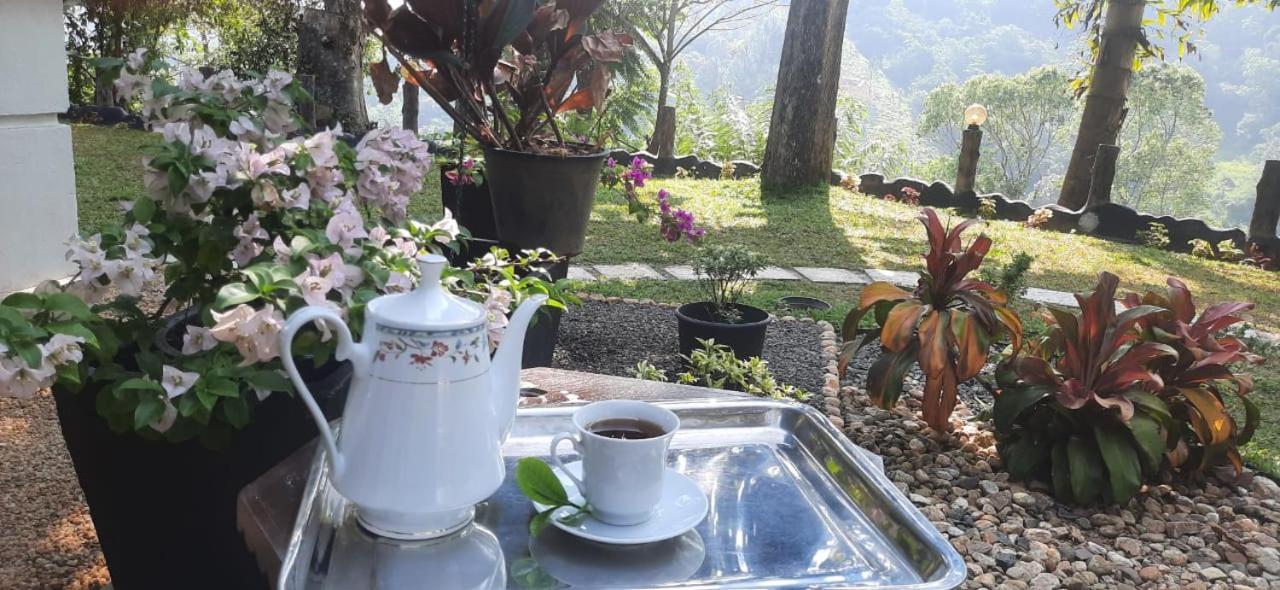 Ceylon Rich Leaves Ella Bed and Breakfast Εξωτερικό φωτογραφία