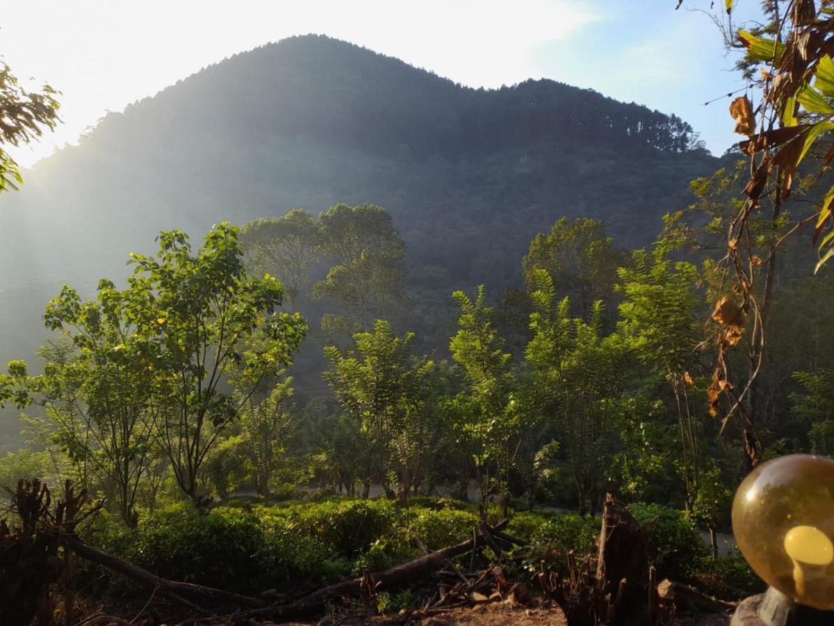 Ceylon Rich Leaves Ella Bed and Breakfast Εξωτερικό φωτογραφία