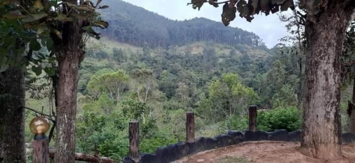 Ceylon Rich Leaves Ella Bed and Breakfast Εξωτερικό φωτογραφία