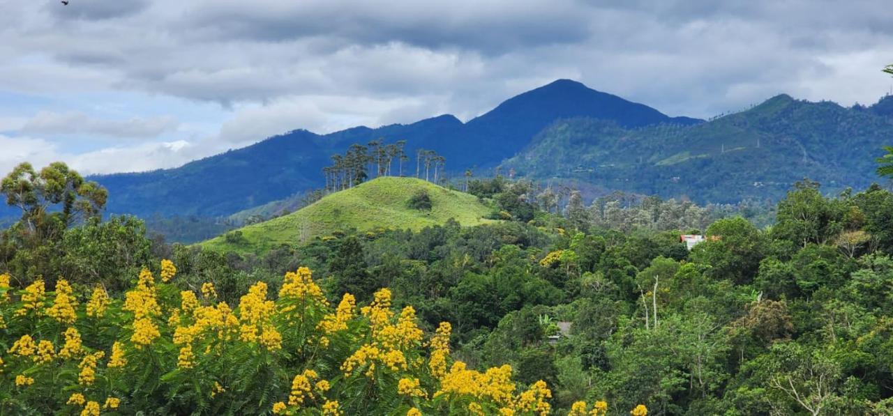 Ceylon Rich Leaves Ella Bed and Breakfast Εξωτερικό φωτογραφία